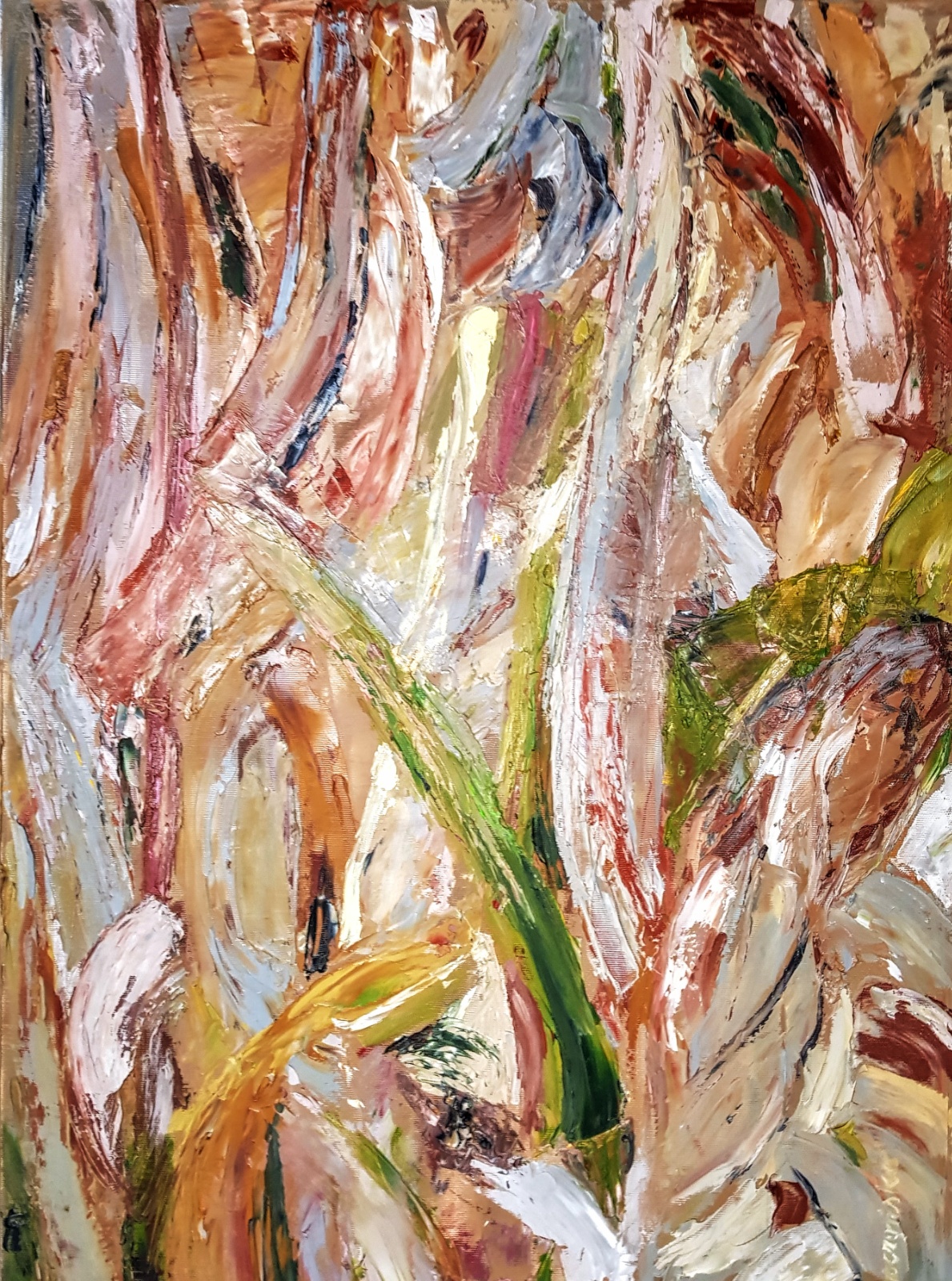 2023 Kolby 50x70 cykl Formy naturalne