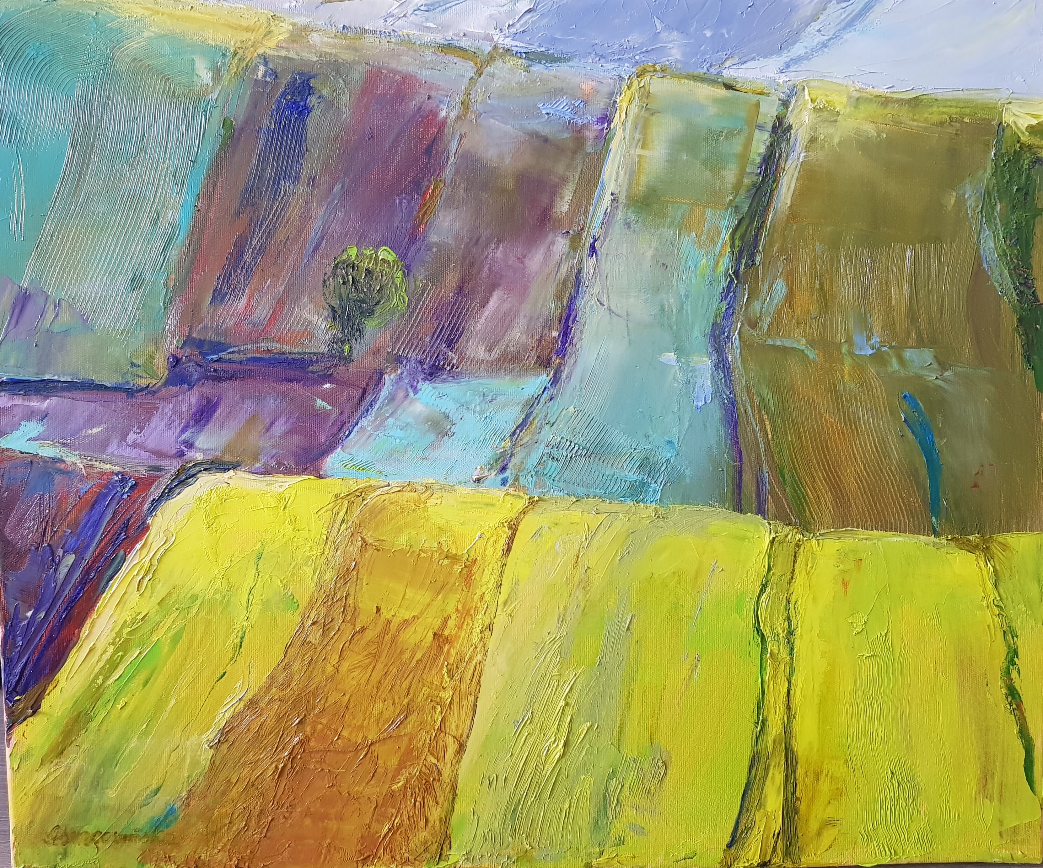 2023 Pola w górach 50x60